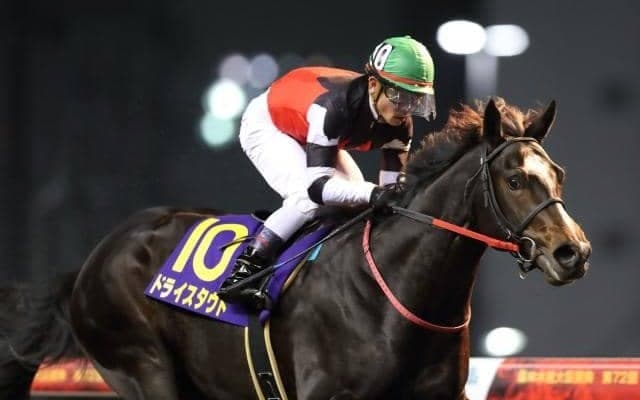 21年のダート2歳王者 ドライスタウトが抹消・種牡馬入り