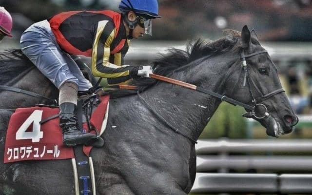 【ホープフルS・馬体重】クロワデュノールは496kg(-8)、ピコチャンブラックは490kg(+4)
