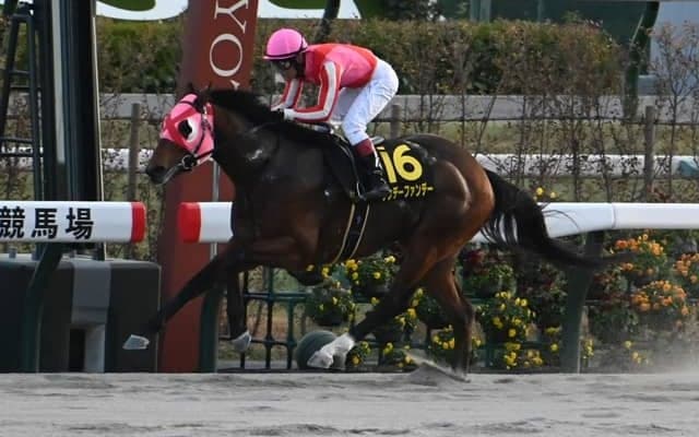 【ベテルギウスS結果】9番人気サンデーファンデーが押し切りオープン初V