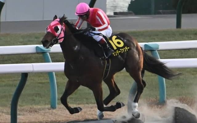 【JRA・WIN5】2024年最後のWIN5は的中166票、配当384万5200円