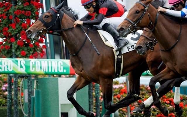 【京都金杯】ドゥアイズ、シャドウフューリーらが登録