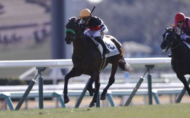 【新馬/中山5R】ブラックジェダイトが人気に応える…キタサンブラック産駒