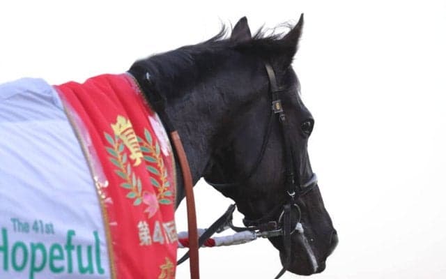 【ホープフルS】北村友「来年に繋げたい」クロワデュノールが無傷の3連勝