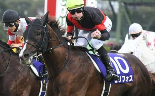 22年マイルCS覇者セリフォスが登録抹消 優駿SSで種牡馬に