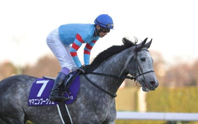 【ホープフルS】G1完全制覇ならず…武豊「まだ不器用」レース後ジョッキーコメント