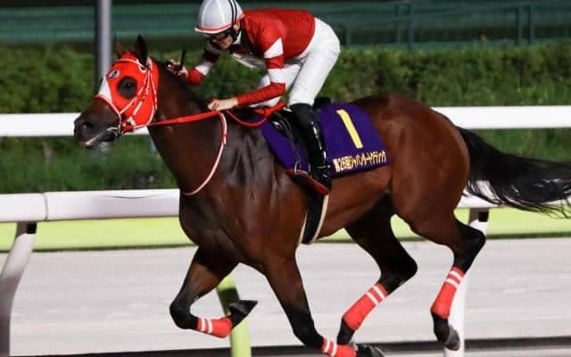 【大井・東京大賞典注目馬】ダート競馬の総決算 ウシュバテソーロやフォーエバーヤングらが覇を競う