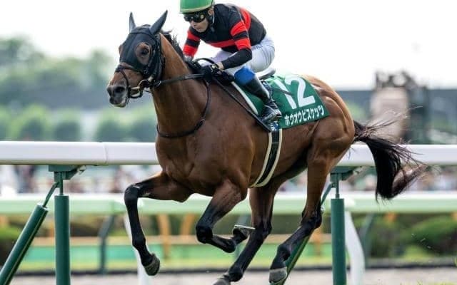 【中山金杯想定騎手】ホウオウビスケッツはH.ドイル騎手、クリスマスパレードは石川裕紀人騎手