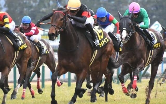 【京都金杯想定騎手】ドゥアイズは武豊騎手、シャドウフューリーは川田将雅騎手