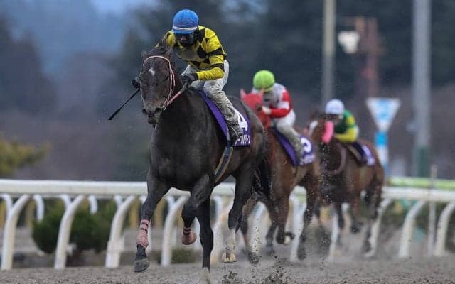 【岩手競馬】桐花賞見どころ…岩手のグランプリレース