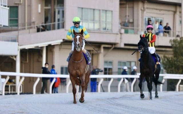 【東京大賞典】ルメール「3コーナーまでは良い感じでしたが…」デルマソトガケは6着