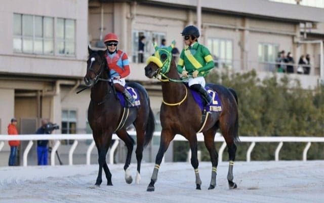 【東京大賞典】三浦「グッと雰囲気も上がっていた」東京ダービー馬ラムジェットは3着まで