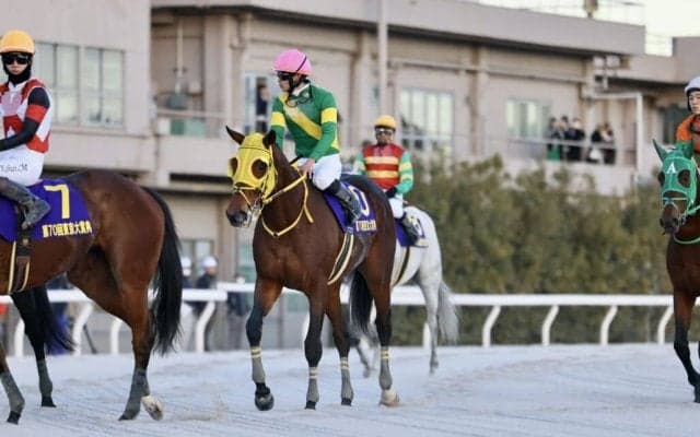 【東京大賞典】菅原明「良いレースはしてくれています」ウシュバテソーロ連覇ならず