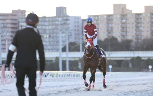 【東京大賞典】矢作師「サウジCを目標に」フォーエバーヤング古馬撃破