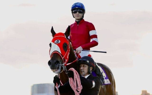 【東京大賞典】坂井瑠「（状態は）8割くらいかなというイメージ」レース後ジョッキーコメント