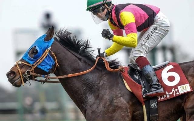 【BMSリーディング】2年連続で1位ディープインパクト＆2位キングカメハメハ