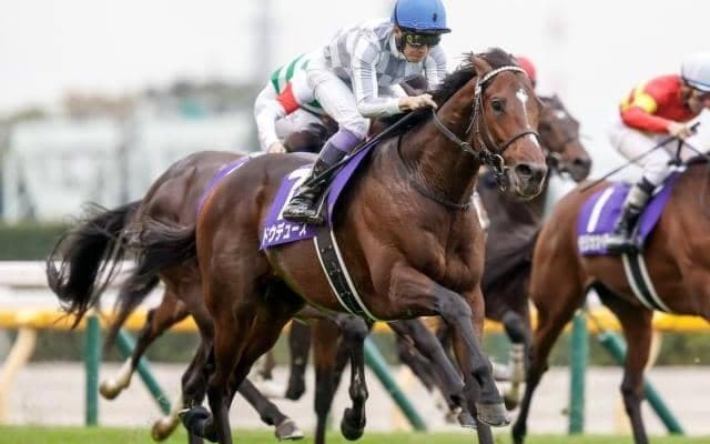 【生産者リーディング】14年連続で1位ノーザンファーム＆2位社台ファーム