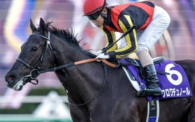 【馬主リーディング】レガレイラやクロワデュノールなどでGI・6勝 サンデーレーシングが8連覇