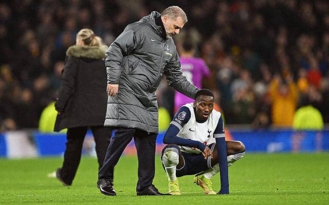 「努力が足りなかったからではない」ボトムハーフで前半戦終了のスパーズ、ポステコグルーは満身創痍のチームを擁護