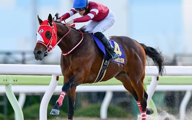 フォーエバーヤングやチカッパなど ダート向きに出たリアルスティール産駒の傾向とは