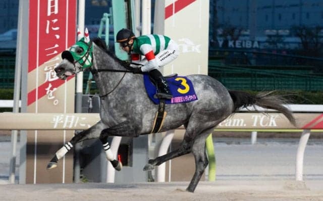 【東京シンデレラマイル】吉原騎乗のフェブランシェが完勝…売得金は前年比ダウン