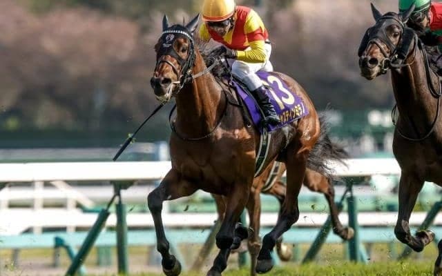 【種牡馬リーディング】キズナが初の戴冠 ロードカナロアは5年連続の2位