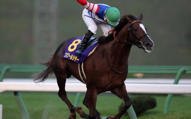 今なお血統表で存在感放つ「ブライアンズタイム」 その特徴と能力に与える影響は