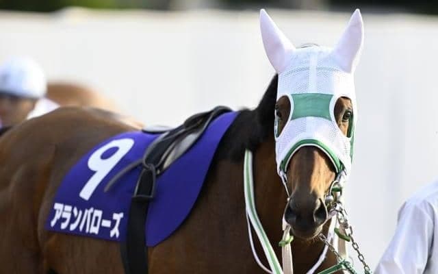 【川崎・川崎マイラーズ枠順】トライアルを制したアランバローズは2枠2番