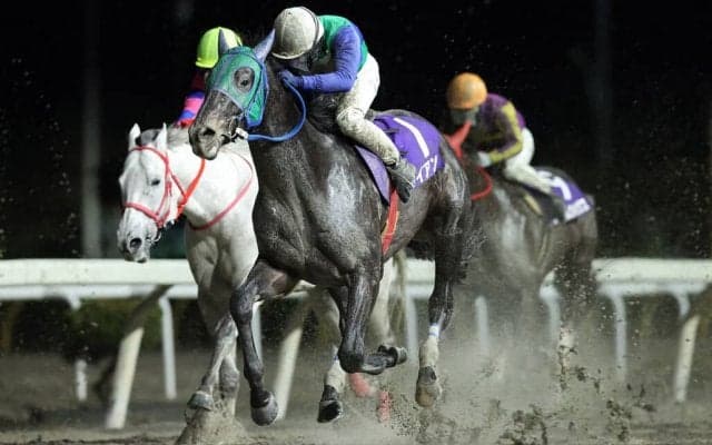 【岩手競馬】2024年シーズン前年度比111%の発売実績
