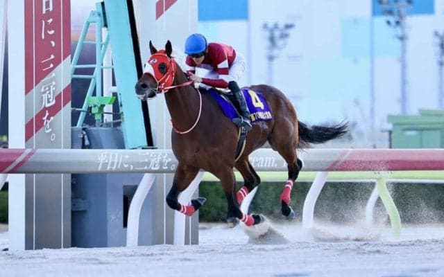 【TCK】地方競馬1開催売上レコードを記録