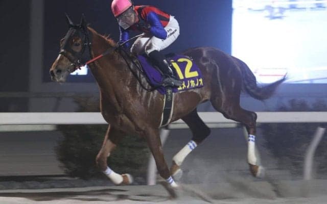 【高知県知事賞】ユメノホノオが連覇達成…吉原「磐石な競馬」