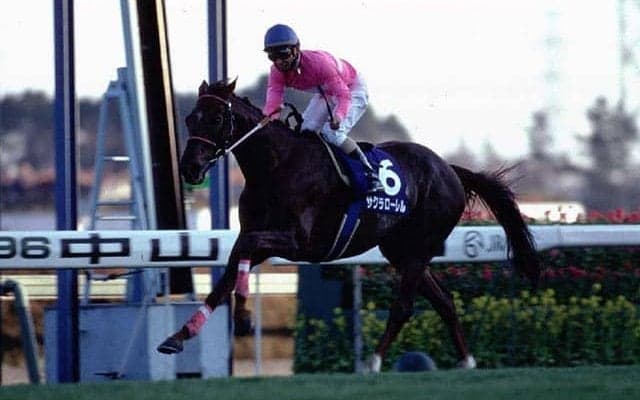 サクラローレルも新春が初重賞V 中山金杯から羽ばたいた馬たち