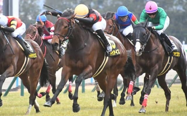 【京都金杯予想オッズ】ドゥアイズが予想1番人気