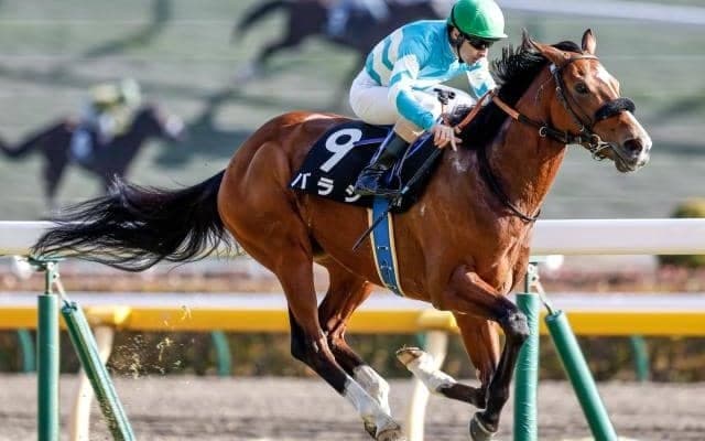 【中山金杯予想】AIは人気薄を抜擢 好枠を引き当てれば魅力的な一頭に