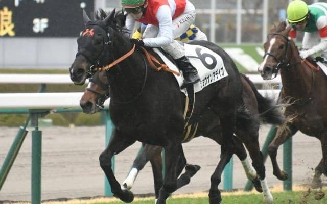 【中山金杯展望】JRA重賞戦線の幕開け、GI戦線で活躍する馬も輩出