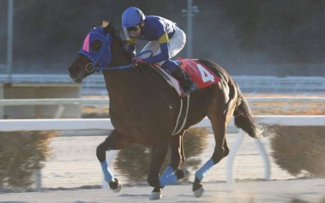 【高知・初夢特別】メイショウウズマサが初笑い…岡「馬が強かった」