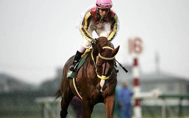 東は荒れない？ 中山金杯史上最高の配当