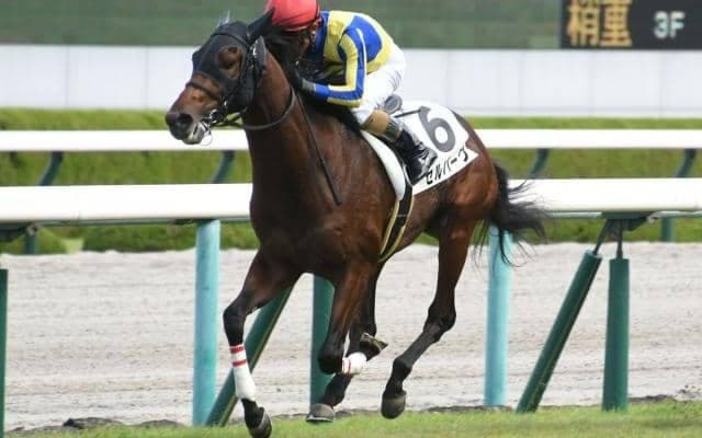 【京都金杯展望】波乱必至のハンデ戦は前走の負け方がカギ