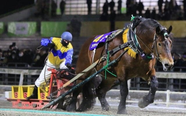 【帯広記念】コウテイが大金星…断然人気メムロボブサップ敗れる