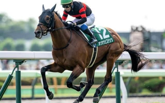 【中山金杯出走馬・騎手確定】ホウオウビスケッツ＆H.ドイル騎手、クリスマスパレード＆石川裕紀人騎手など18頭