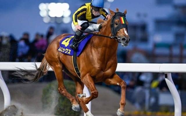 【川崎・川崎マイラーズ結果】ムエックスが5馬身差圧勝で重賞初制覇