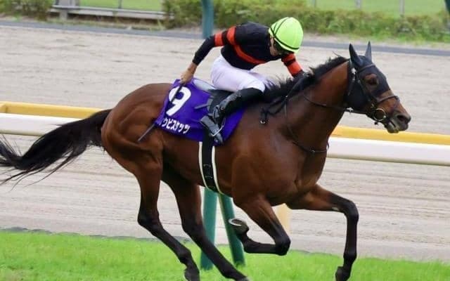 【中山金杯・調教後馬体重】ホウオウビスケッツは517kg、クリスマスパレードは464kg