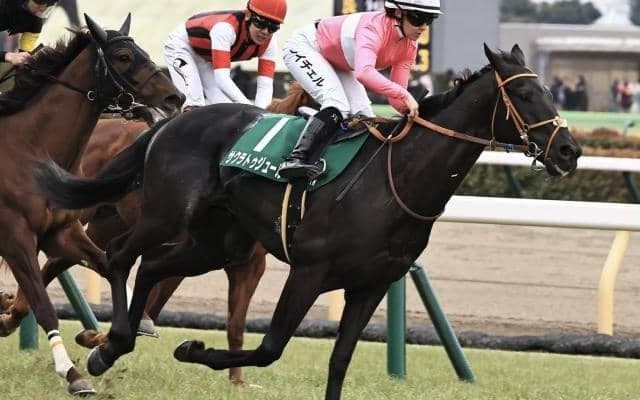 史上初の8歳馬Vなるか 昨年の東京新聞杯覇者が京都金杯に参戦