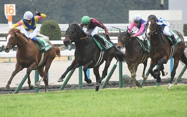 過去10年馬券圏内率0％!? 京都金杯の“末広がりの8”に隠されたジンクスとは