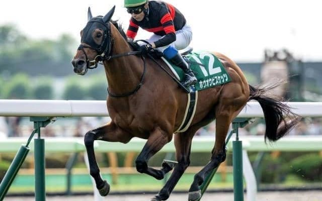 【中山金杯枠順確定】ホウオウビスケッツは8枠18番、クリスマスパレードは7枠15番