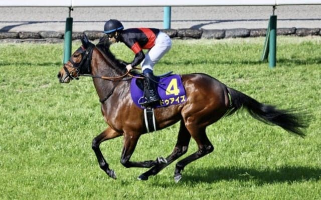 【京都金杯】ドゥアイズはプラス10kg…調教後の馬体重