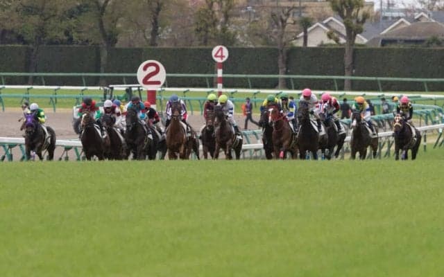 【中山金杯／データ攻略】“8年連続馬券内”該当の想定8人気以下　「驚きの一変」はたす可能性秘めた伏兵は