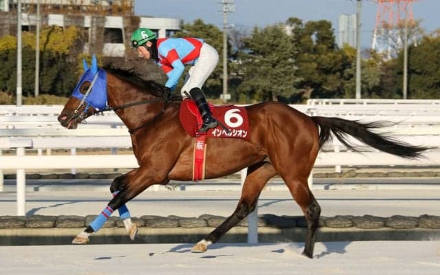 【園田・新春賞】インベルシオンが抜け出す…廣瀬「凄くうれしい」
