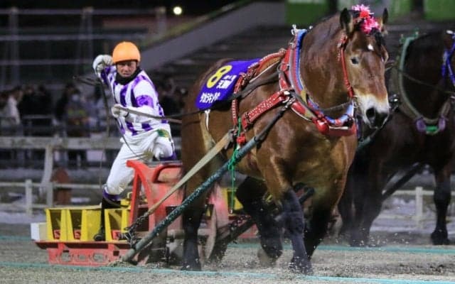 【ばんえい・天馬賞】タカラキングダムが4歳三冠…阿部「ホッとしています」