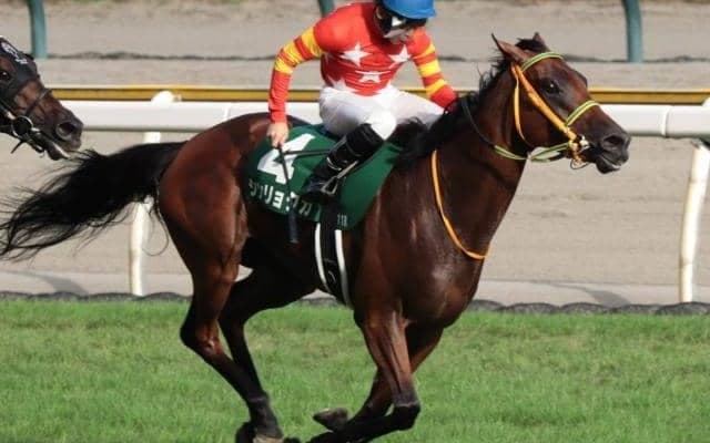 24年ぶりの牝馬Vなるか 中山金杯で2頭が牡馬撃破狙う