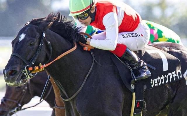 セレクト5.1億円馬が中山金杯にチャレンジ 史上最高額のJRA重賞勝ち馬となるか